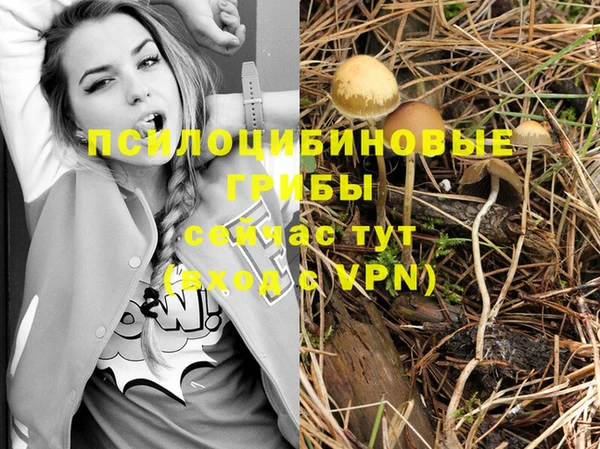 меф VHQ Новозыбков