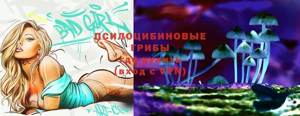 хмурый Новокубанск